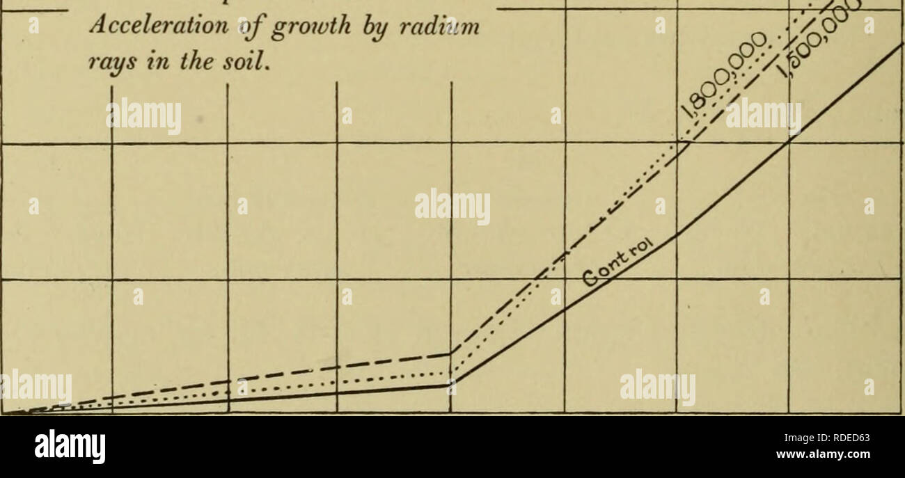 . Effects of the rays of radium on plants. Plants. 142 EFFECTS OF RADIUM RAYS IN THE SOIL June 8. Heights of seedlings above the surface of the soil as follows : A i,Soo,ooo X 1 41,50 mm. 2 35.00 3 44-50 4 45-oo 5 47-oo 6 47.00 7 38-00 8 53-50 9 53-50 10 4500 11 57.00 12 37'Oo Av 54.^.00 mm. 45.30 mm. B C D 1,500,000 X Radio-tellurium Control 51.00 mm. 53.00 mm. 13.00 mm 40.00 32.00 33-50 41.00 50.00 31.00 40-50 45-50 injured 36.00 47.00 39-00 48.00 48.00 injured 54-50 65-50 23.00 48.00 injured injured 52.50 27.00 39-50 30.00 50.00 33-00 40.00 injured 41.50 38.00 45-50 39-50 519-50 mm. 463.50  Stock Photo