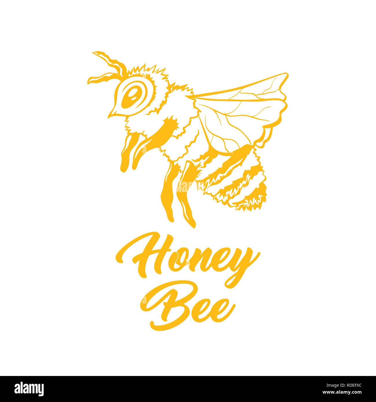 Honey Bee, Outline Logo Design. Isolated Vector. Yellow Engraved Element. Vintage Style Illustration of Flying Wasp Stock Vector
