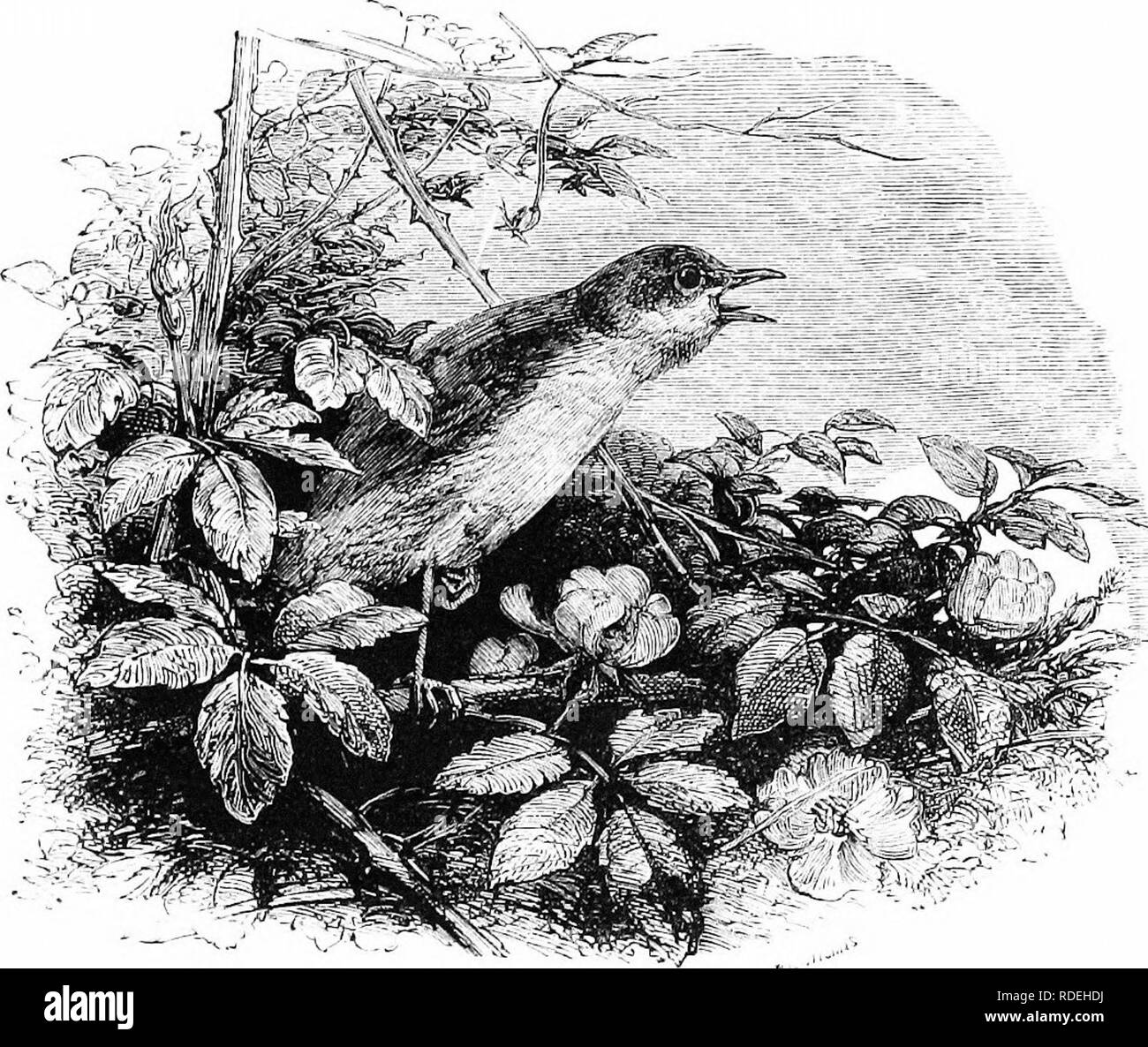 George Searle High Resolution Stock Photography and Images - Alamy