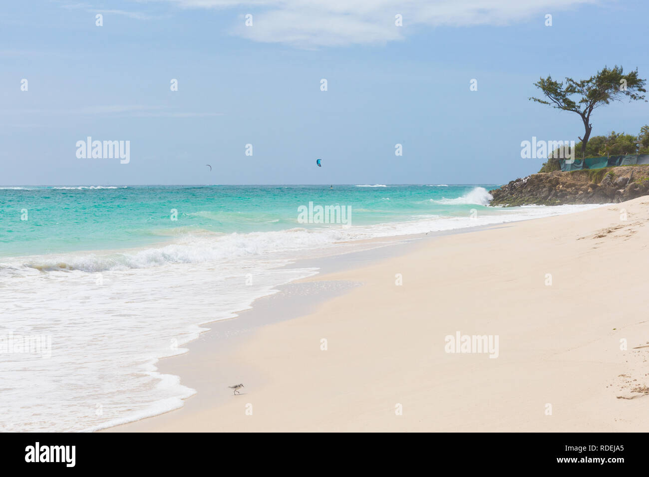 A white beach at Silver Sands, Barbados. Ocean waves roll in. Kitesurfers play in the safe waters off-shore. Stock Photo