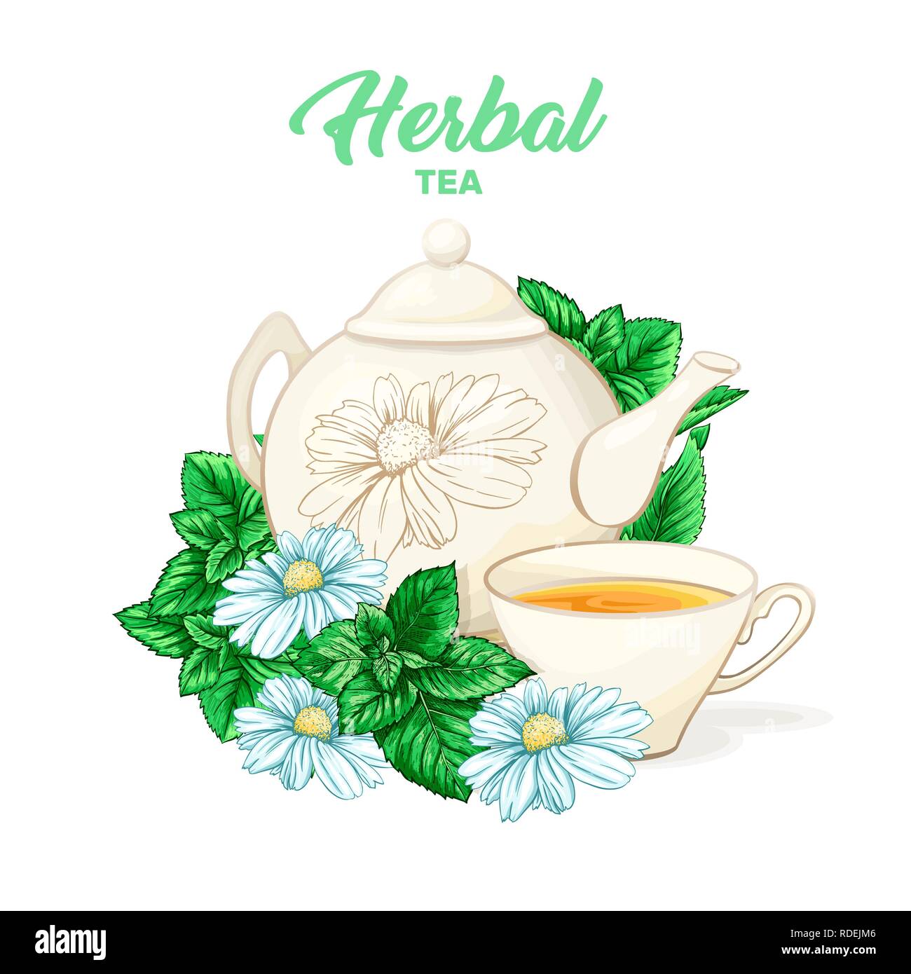 Herbal tea hand drawn color illustration. Ceramic teapot, porcelain cup