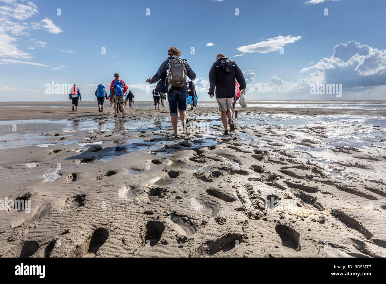 The Netherlands, Rottumeroog or Rottum Island (uninhabited), belonging to Wadden Sea Islands. Excursion to the protected island organised by Staatsbos Stock Photo