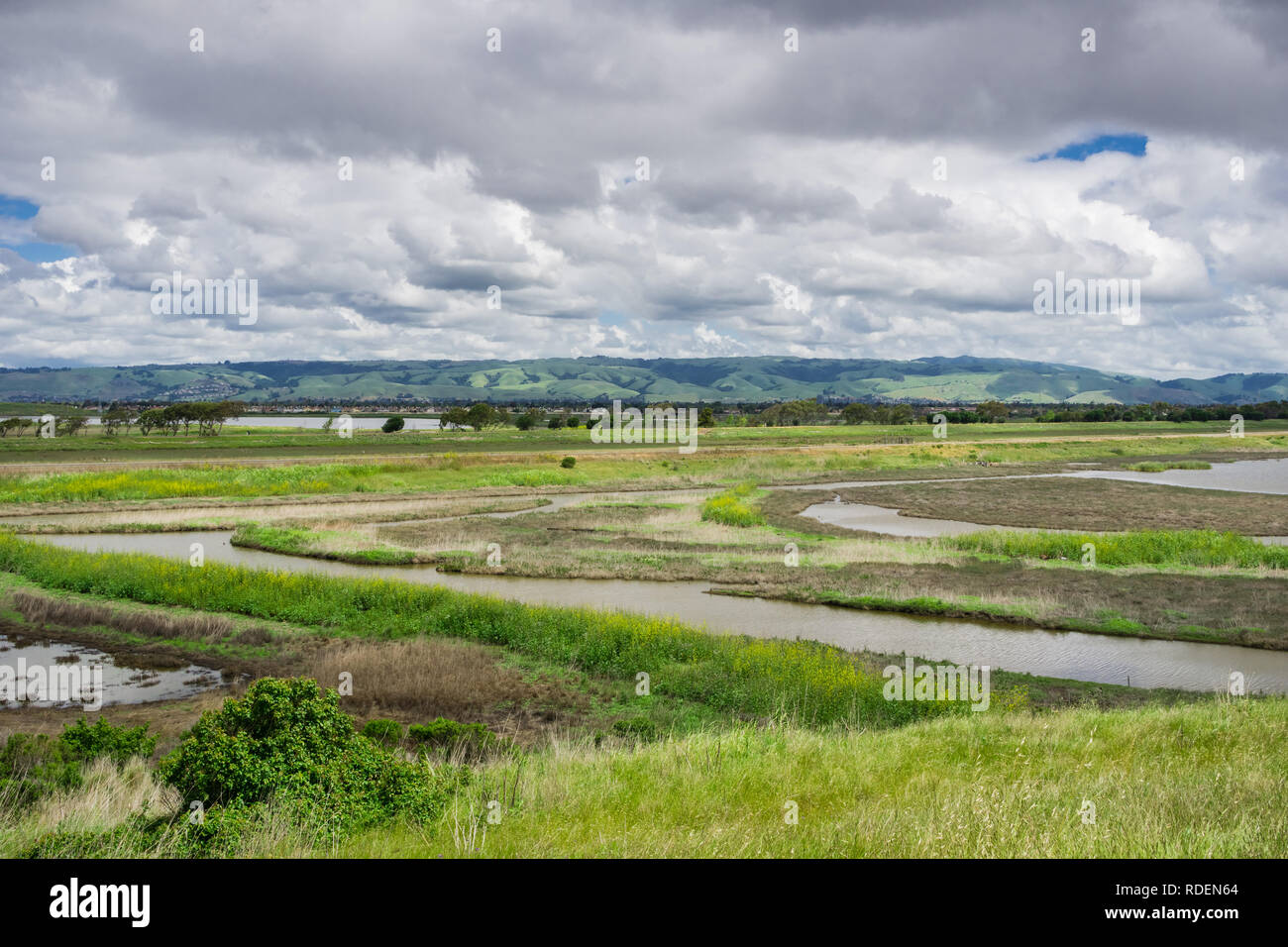 Landscape in Coyote Hills Regional Park on a cloudy spring day, east San Francisco bay, California Stock Photo