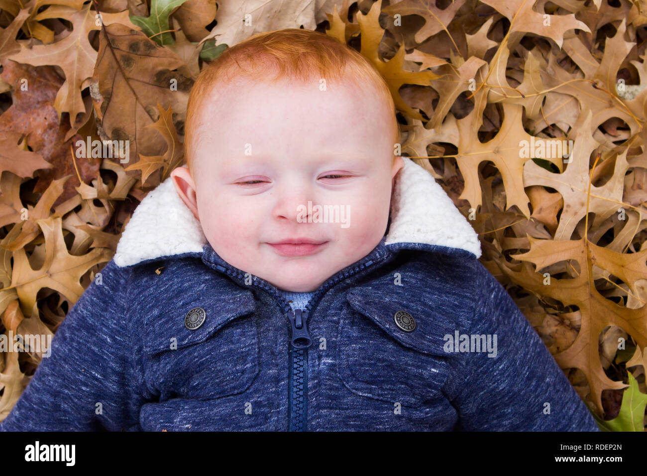 Close up Red headed little boy lying down in leaves outside Stock Photo