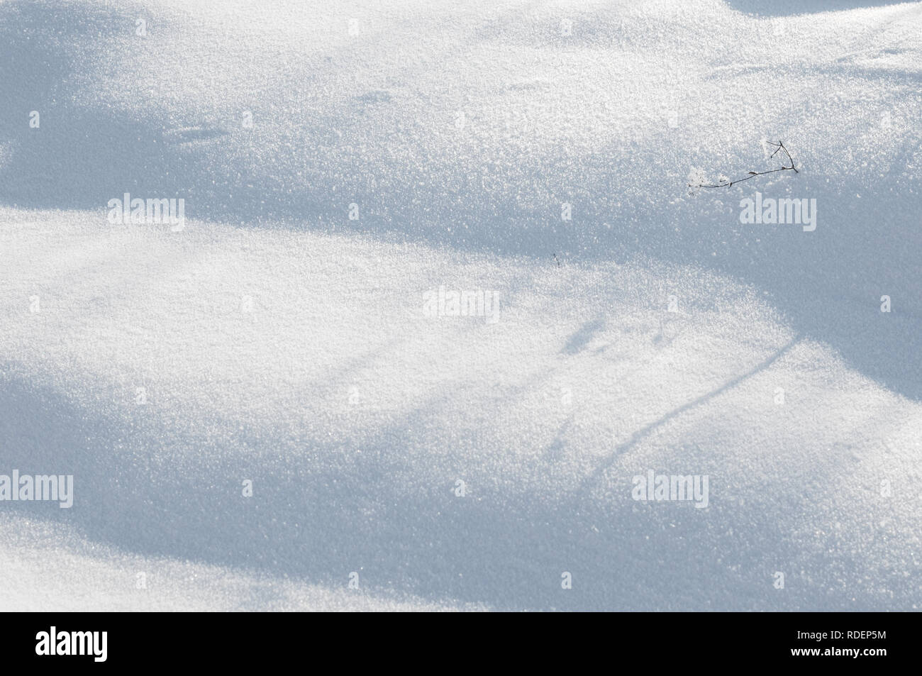 Winter landscape. Background of white winter snow texture.Manimalism Horizontai orientation. Stock Photo