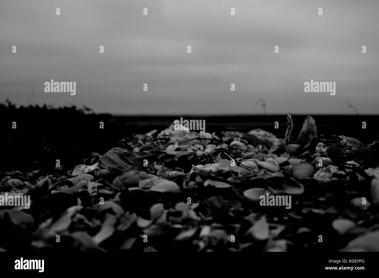 Beach Normandy old oyster farm Stock Photo Alamy