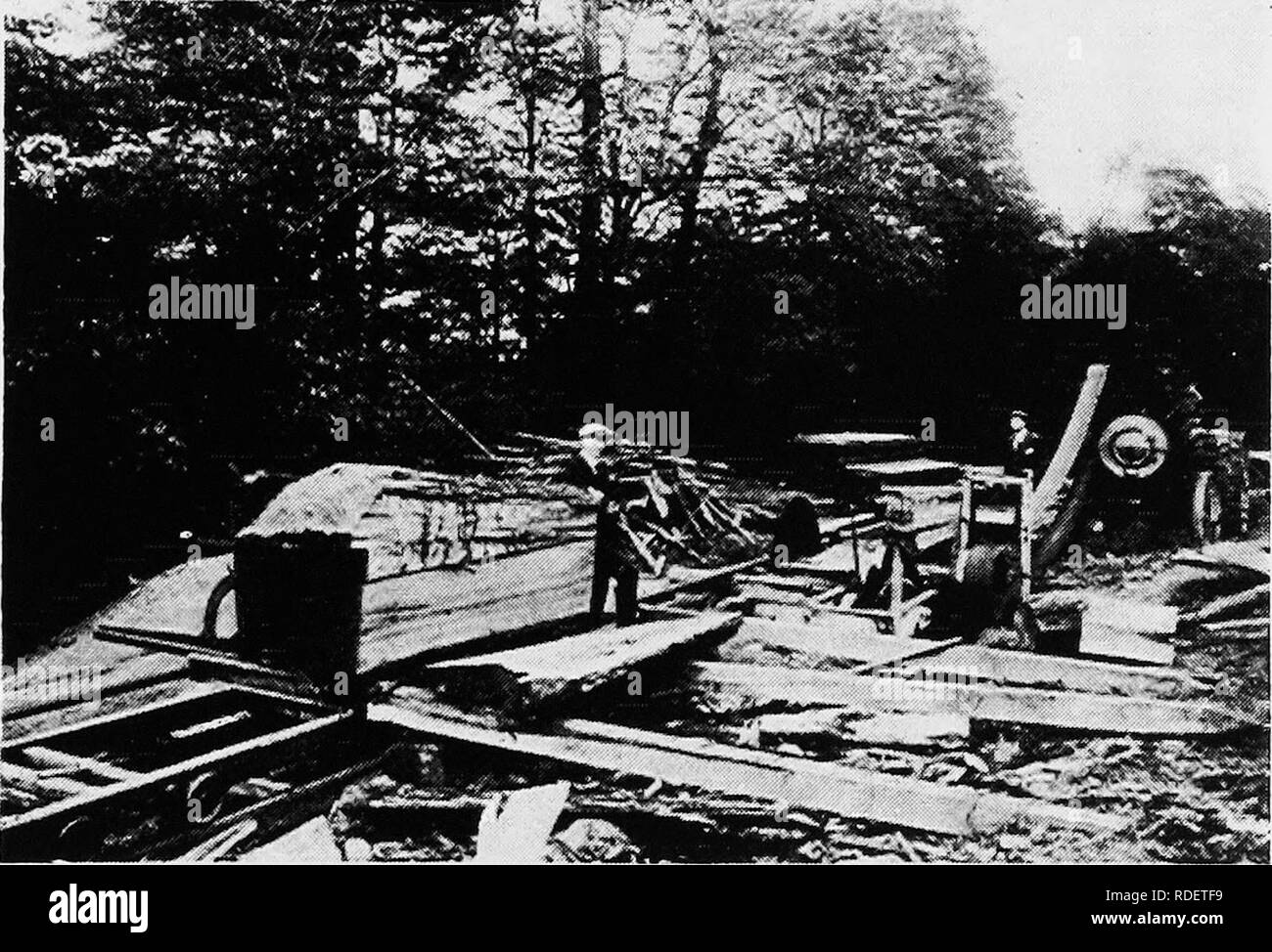 Sawmill forestry Black and White Stock Photos & Images Alamy