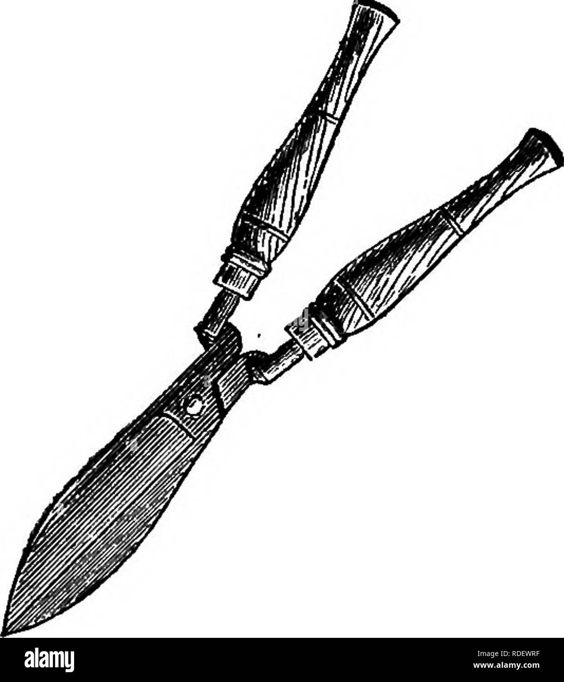 . The American fruit culturist, containing directions for the propagation and culture of all fruits adapted to the United States. Fruit-culture. Fig. 93.—Corn Knife, Fig. 94.—Hed^e Shears. that shown in Fig. 93, one man has trimmed from half to three- quarters of a mile of four &quot;years' hedge on both sides in a day striking upwards and cutting it to a peak in the middle, like the roof of a house. Hedge shears, Fig. 94, may be had of any dealer in seeds, with which more neat and accurate work can be done.. Please note that these images are extracted from scanned page images that may have be Stock Photo