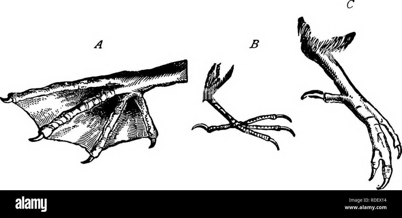 Lties Black and White Stock Photos & Images - Alamy