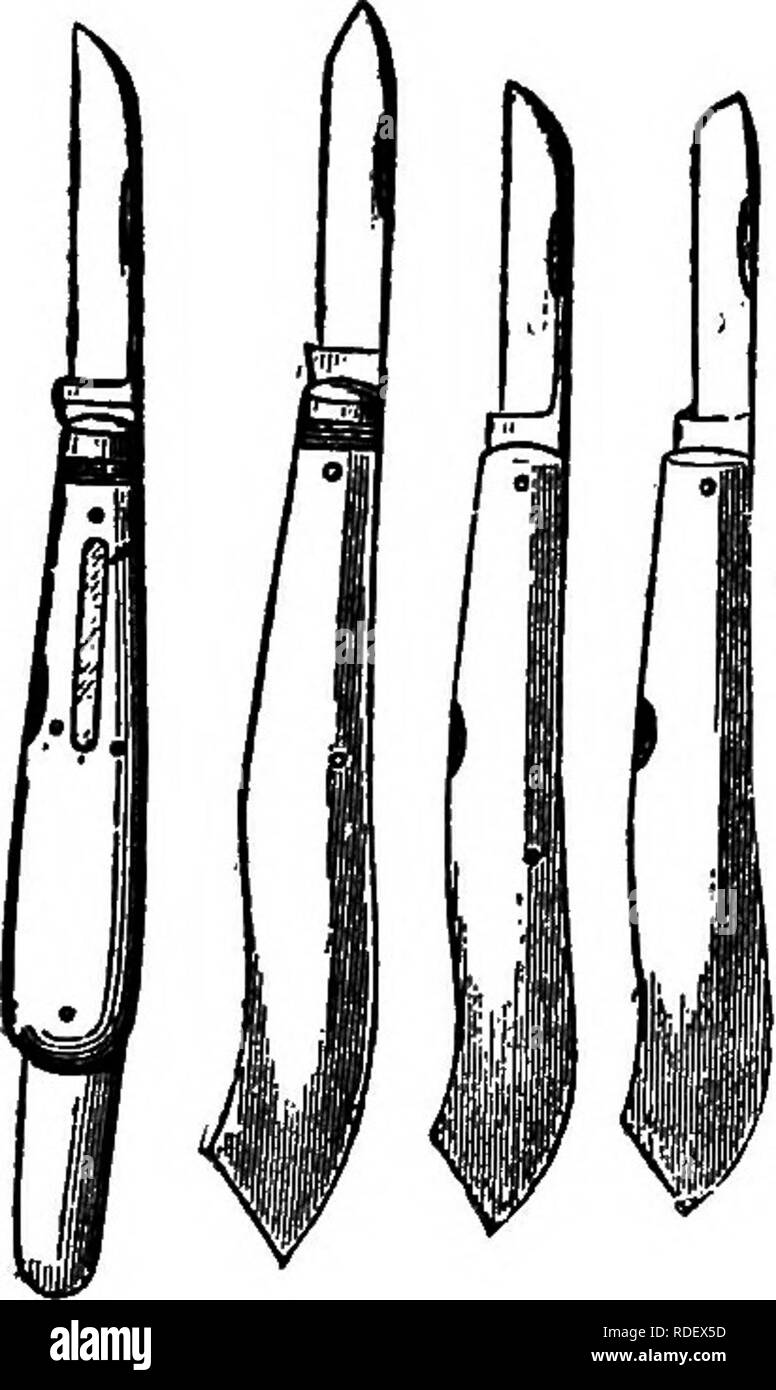 . The American fruit culturist, containing directions for the propagation and culture of all fruits adapted to the United States. Fruit-culture. PROPAGATION^. 29. flat-bladed knife to cut the faces, and another knife for other purposes. Fig. 29. 2. The second requires that the jaws of the stock, in cleft- grafting, press with some force, but not too much, against the wedge-shaped sides of the graft. A stock one-third of an inch in diameter will sometimes do this sufRciently; but three quarters of an inch is a more convenient size. In whip-grafting, the tongue and slit should be firmly crowded  Stock Photo
