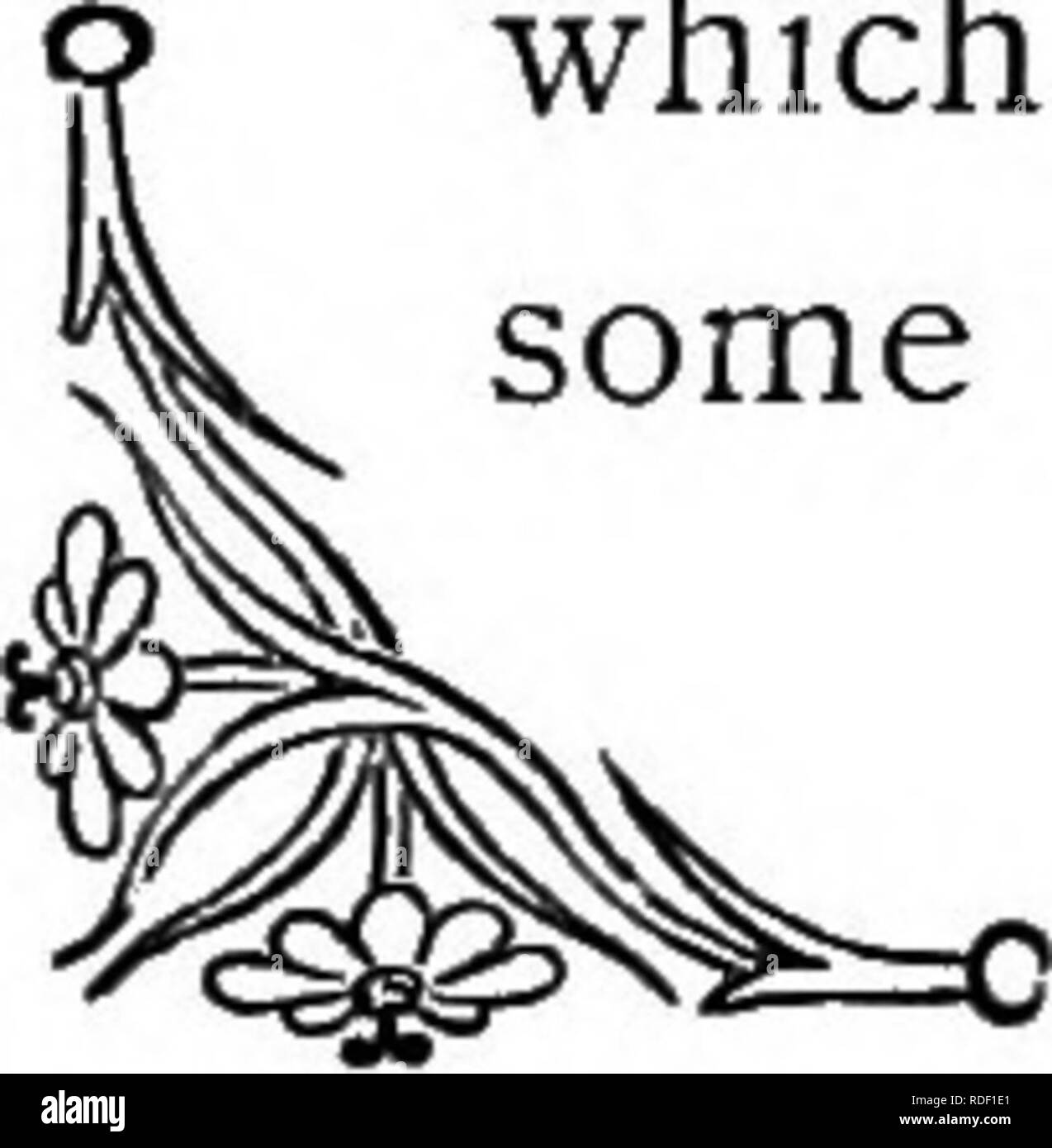 The language of flowers: or, Floral emblems of thoughts, feelings, and  sentiments ... Flower language. PEPPERMINT. suffuse it with its rosy hues,  but the redness which guilt imparts, for this plant