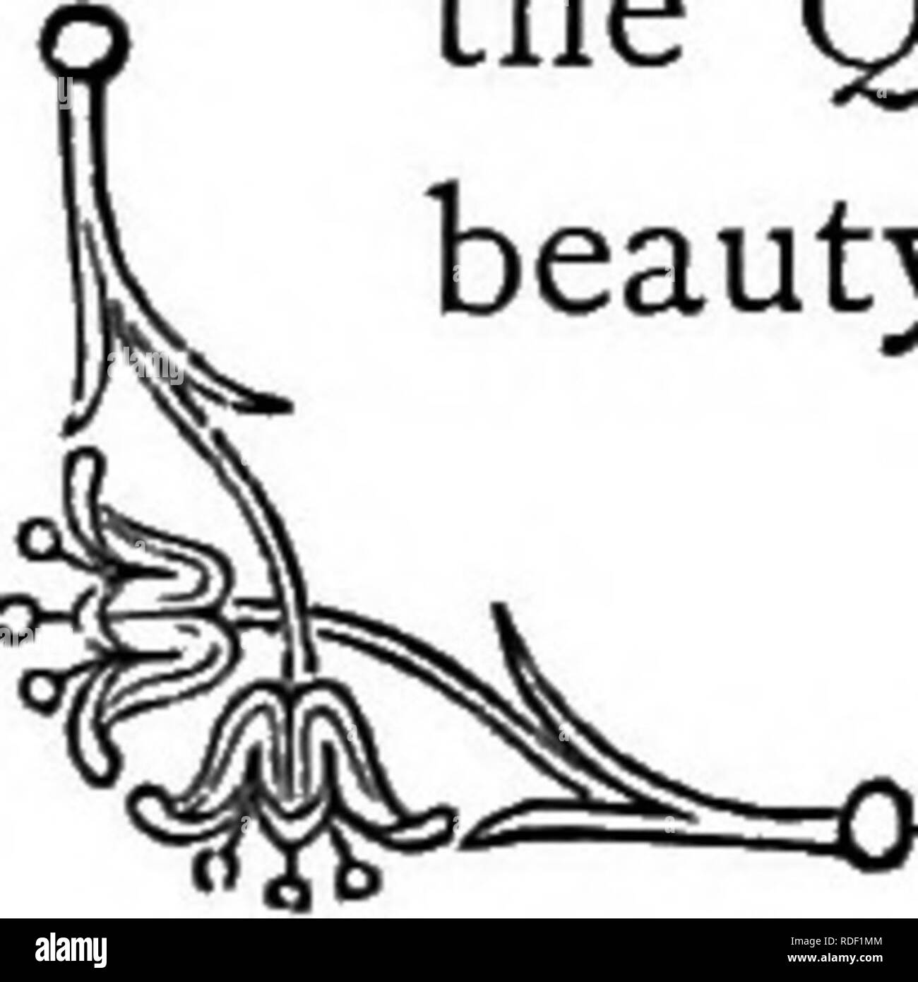 . The language of flowers: or, Floral emblems of thoughts, feelings ...