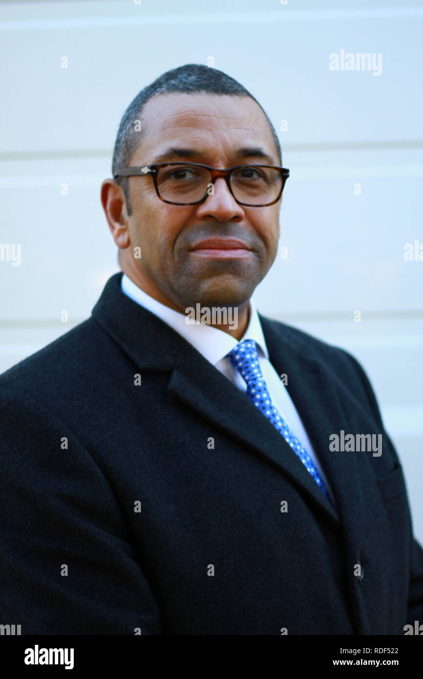Deputy chairman conservative party james cleverly hires stock