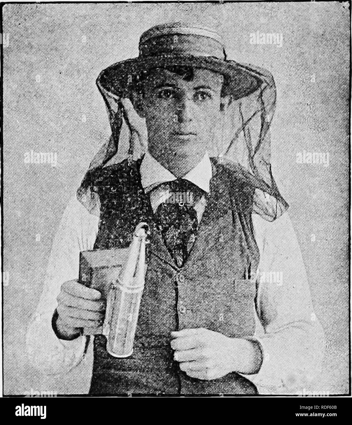 . Langstroth on the hive and honey-bee. Bees. 196 HANDLING BEES. cloth, suflSciently large to cover the top of the hive, wring out dry and spread over the hive as soon as the quilt is removed. '' You may use the same to drive the bees out of the sec- tions. Keep the bottles well corked for future use.''—(Kev. G. Eaynor, in the British Bee-Journal.) The same liquid may be forced among the bees through an atomizer. As it evaporates it leaves no bad smell behind. 385. A neighbor of ours, who is a magnetist, told our. Fig. 93. VEIL SEWED ON THE HAT. foreman-Apiarist that bees could be pacified by  Stock Photo