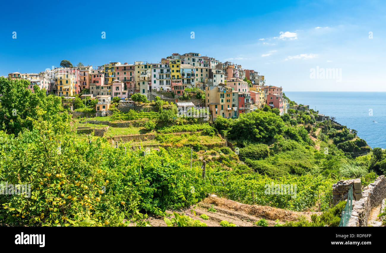 Malerisches Dorf von Corniglia, Cinque Terre, Italien Stock Photo