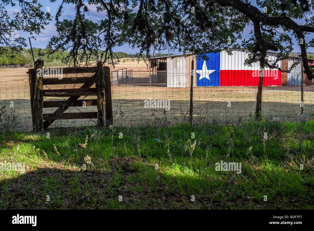 Texas Lone Star flag painted on a farm utility shed with fenced chickens. Stock Photo