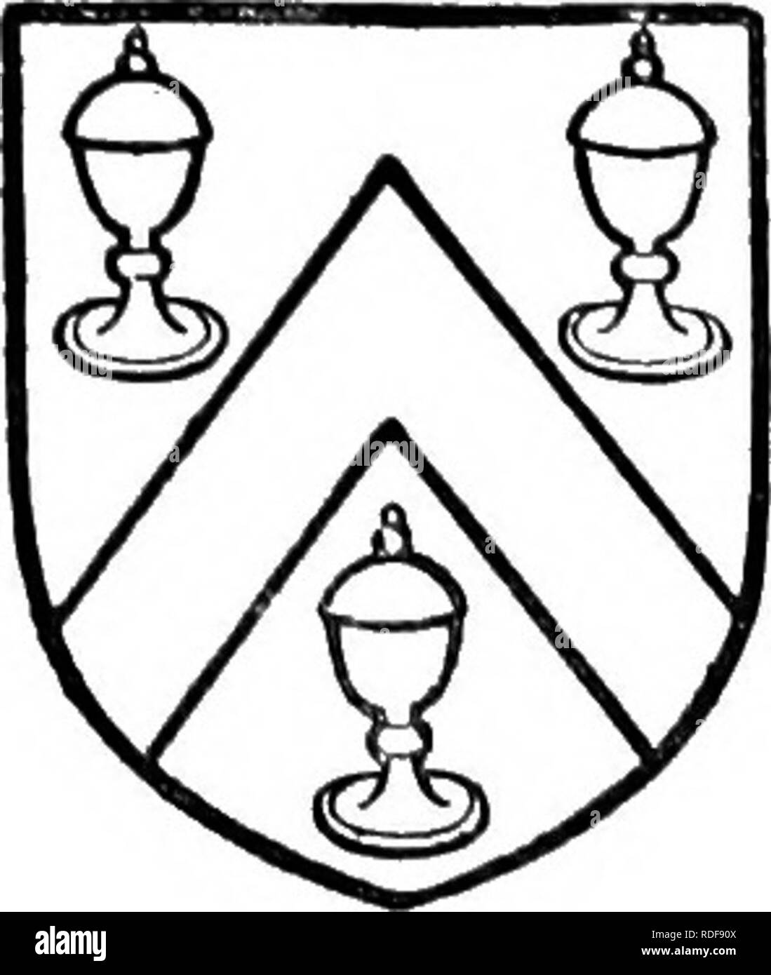 . The Victoria history of the county of Lancaster;. Natural history. AMOUNDERNESS HUNDRED ST. MICHAEL- ON-WYRE a pedigree in 1533,&quot; and died in 1534, leaving by his wife Anne Shireburne four daughters as co-heirs, viz. Elizabeth, who married James Standish of Duxbury ; Isabel, who married Thomas Radcliffe of Winmarleigh, and left a daughter Anne, after- wards wife of Sir Gilbert Gerard; Eleanor,who married Henry Rishton of Rishton ; and Grace, who married Hugh Anderton of Euxton.33 The manor of Rawcliffe, however, went with other estates to the heir male, the above- named Nicholas, brothe Stock Photo