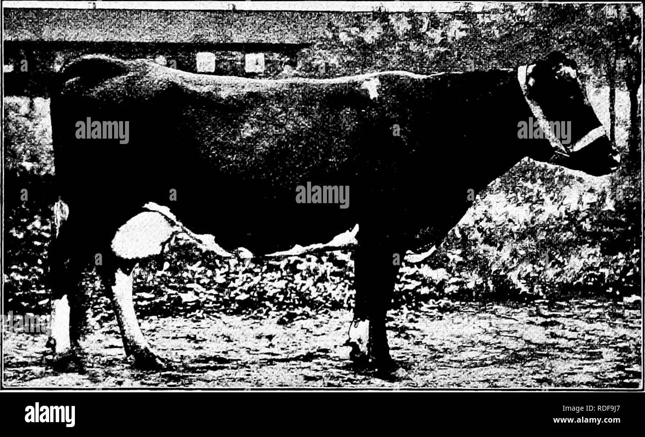 Worlds largest herd Black and White Stock Photos & Images - Alamy