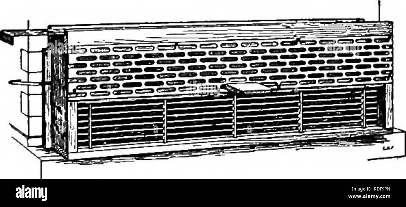 . Beekeeping; a discussion of the life of the honeybee and of the production of honey. Bees; Honey. Fig. 29. — Tool-box seat. bees. A hive cover on edge makes a good temporary seat and has the ad- vantage .of being where it is needed, andwhen needed is not otherwise oc- cupied. Other equipment. There are some additional appliances which may be use- ful in any apiary and which may be mentioned briefly. For making changes in supplies and in devising parts for special uses, the apiary equipment should include some carpenter's tools, among which may be mentioned hammers, saws (including a keyhole  Stock Photo