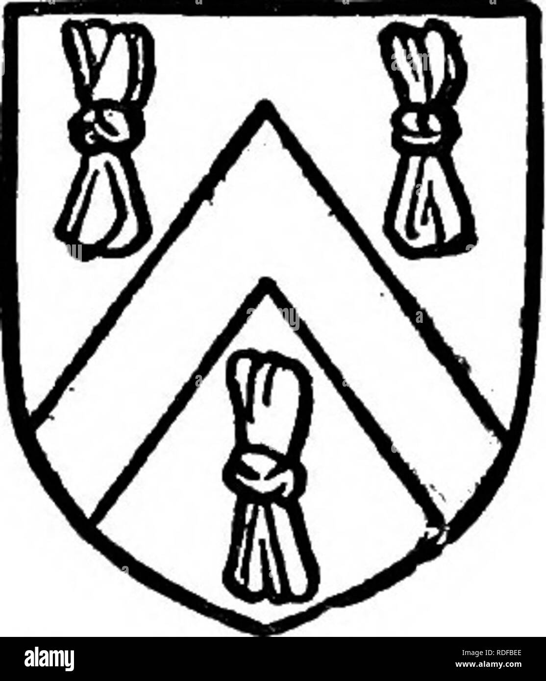 . The Victoria history of the county of Bedford. Natural history. BIGGLESWADE HUNDRED BIGGLESWADE detts (q.v.), passed by her marriage with Henry Has- tings into the possession of the earls of Pembroke.^' No connexion has been found between the under- tenant, Fulk of Paris, mentioned in Domesday, and William Rixband, who was holding in Stratton as early as 1231,&quot;' and whose family continued to hold this manor, for in 1322 Margaret Rixband, presumably a descendant, enfeoffed William Latimer of her manor in Stratton.&quot; From this date the manor appears to have followed the same descent a Stock Photo