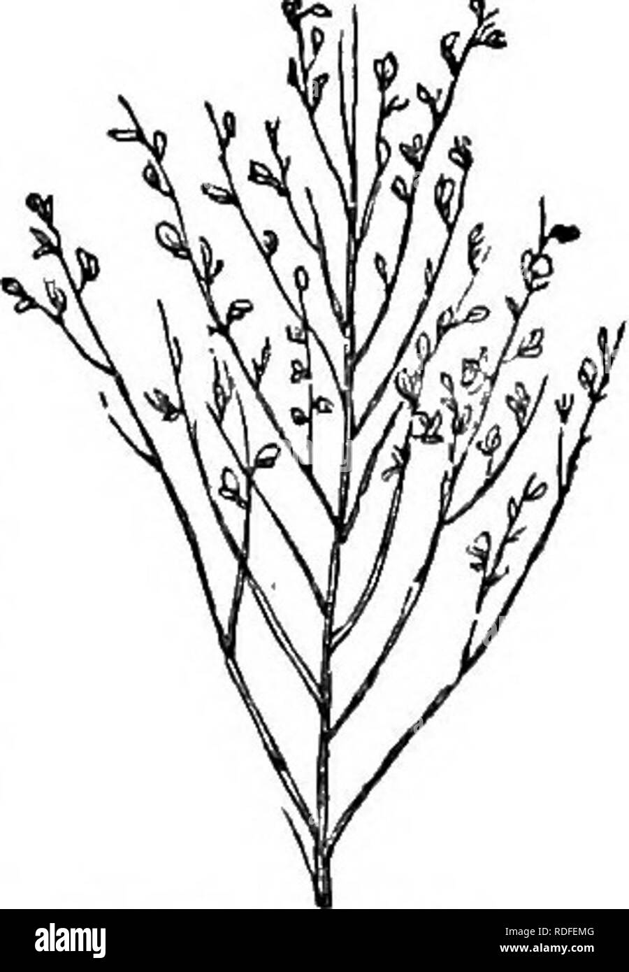 Rma Black And White Stock Photos Images Alamy