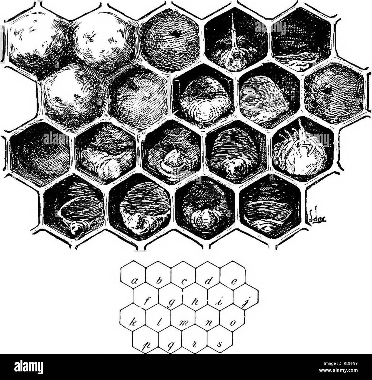 Preventive Inspection Black And White Stock Photos Images Alamy preventive-inspection-black-and-white-stock-photos-images-alamy