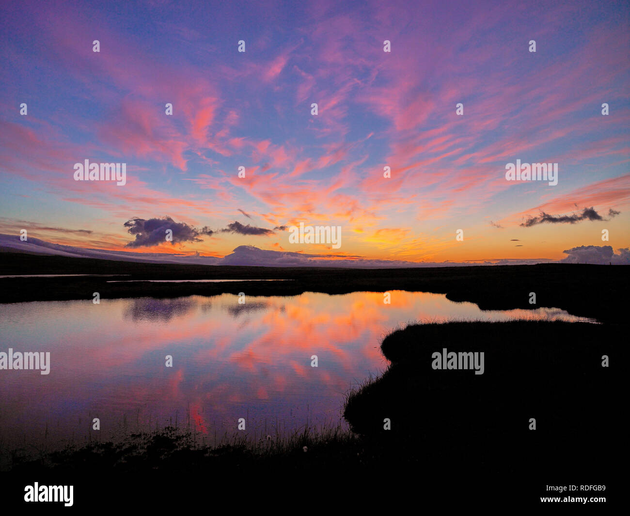 Colorful world of nature hi-res stock photography and images - Alamy