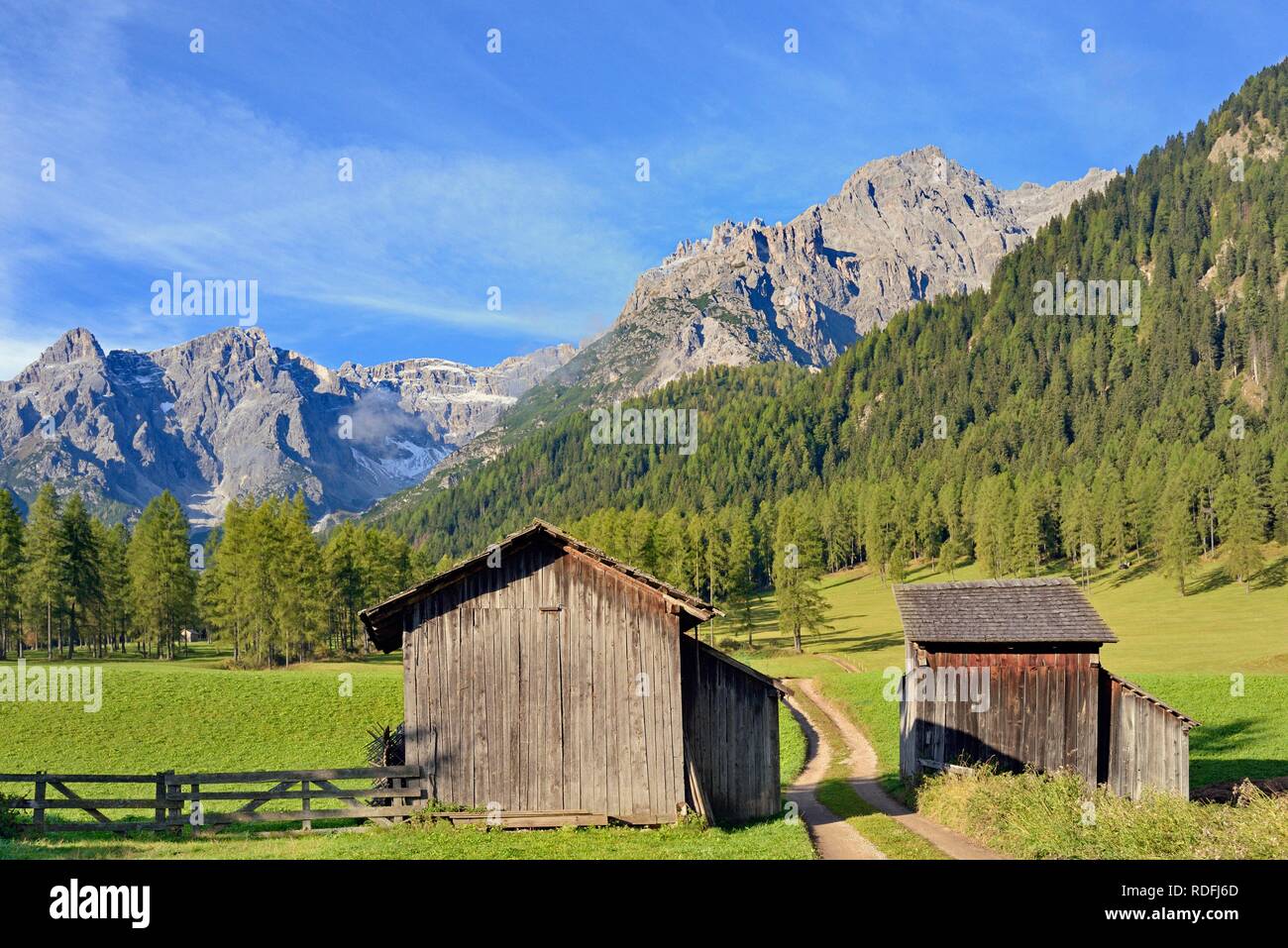 Fischleintal, haystacks on the mountain meadows, mountain forest and mountain range, Sexten Dolomites, South Tyrol, Italy Stock Photo