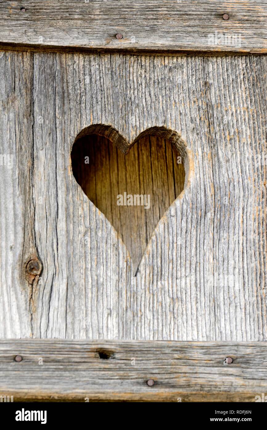 Symbol picture, heart, sawn out of a wooden board, Sexten Dolomites, Province South Tyrol, Alto-Adige, Italy Stock Photo