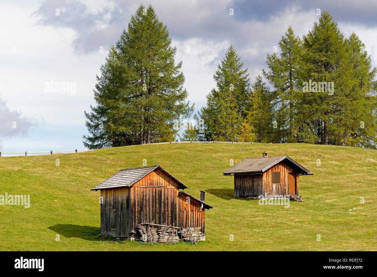 Mountain huts with autumnal Larches (Larix), Rotwandwiesen, Sexten Dolomites, South Tyrol Province, Alto-Adige, Italy Stock Photo