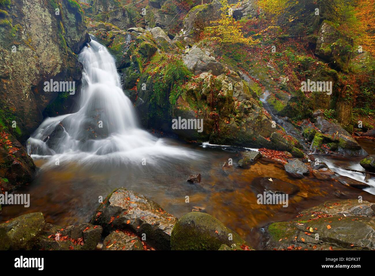 Waterfall, Petit Cascade de Tendon, Vosges, Alsace, France Stock Photo