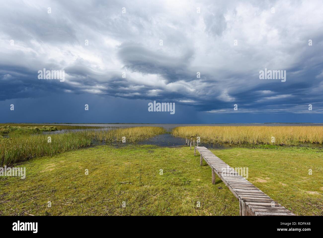 Footbridge at the lakeside with dramatic sky, in the swamp area Esteros del Iberá, province Corrientes, Argentina Stock Photo