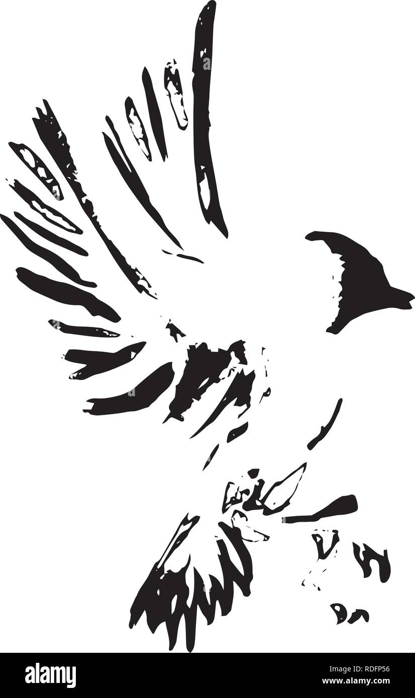 Pattern of a flying bird. Magpie or crow, made in ink Stock Vector ...