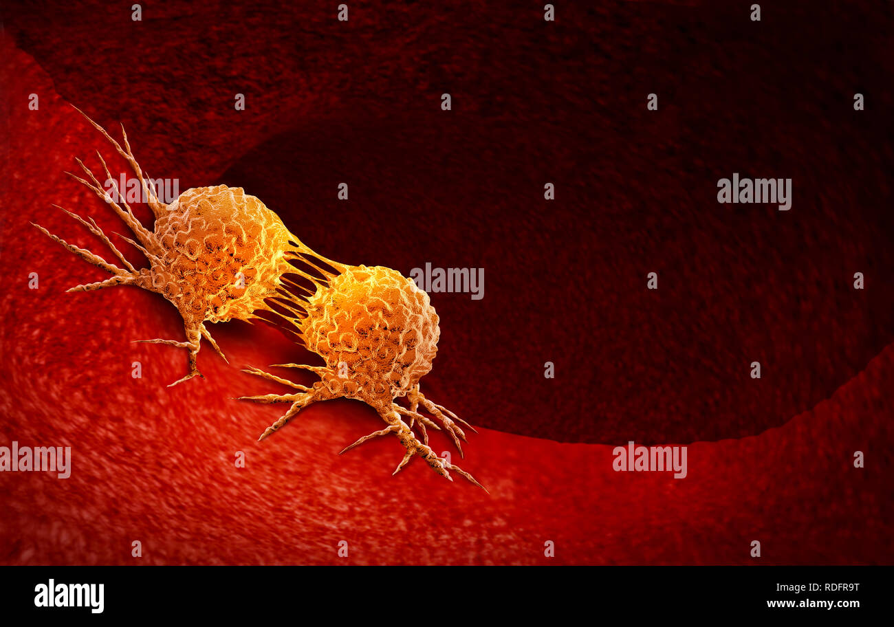 Cancer cell dividing and treatment for malignant cancer cells in a human body caused by carcinogens and genetics with a cancerous cell. Stock Photo