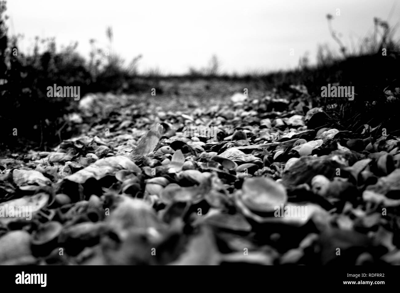 Beach Normandy old oyster farm Stock Photo Alamy