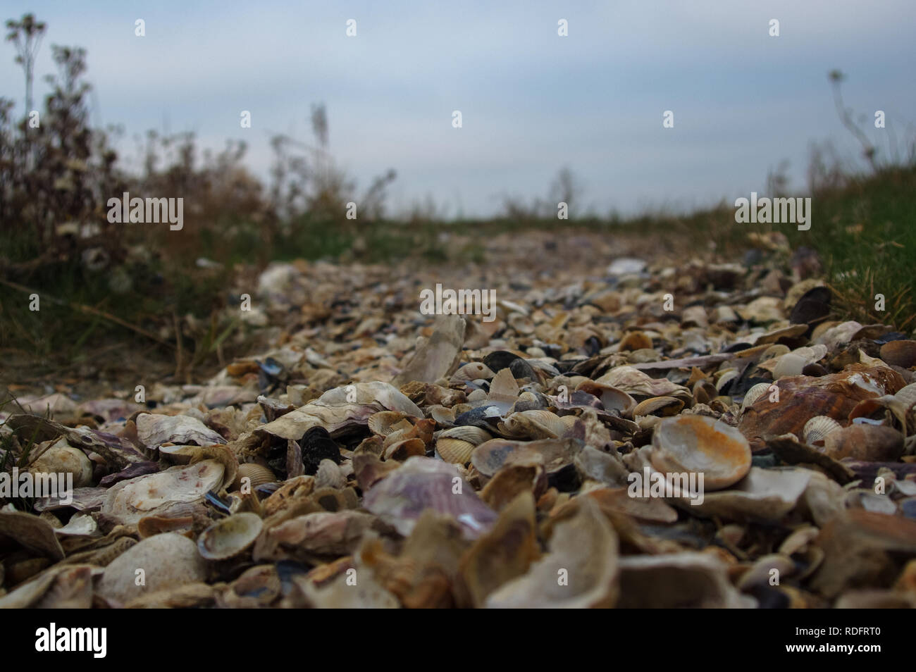 Beach Normandy old oyster farm Stock Photo Alamy
