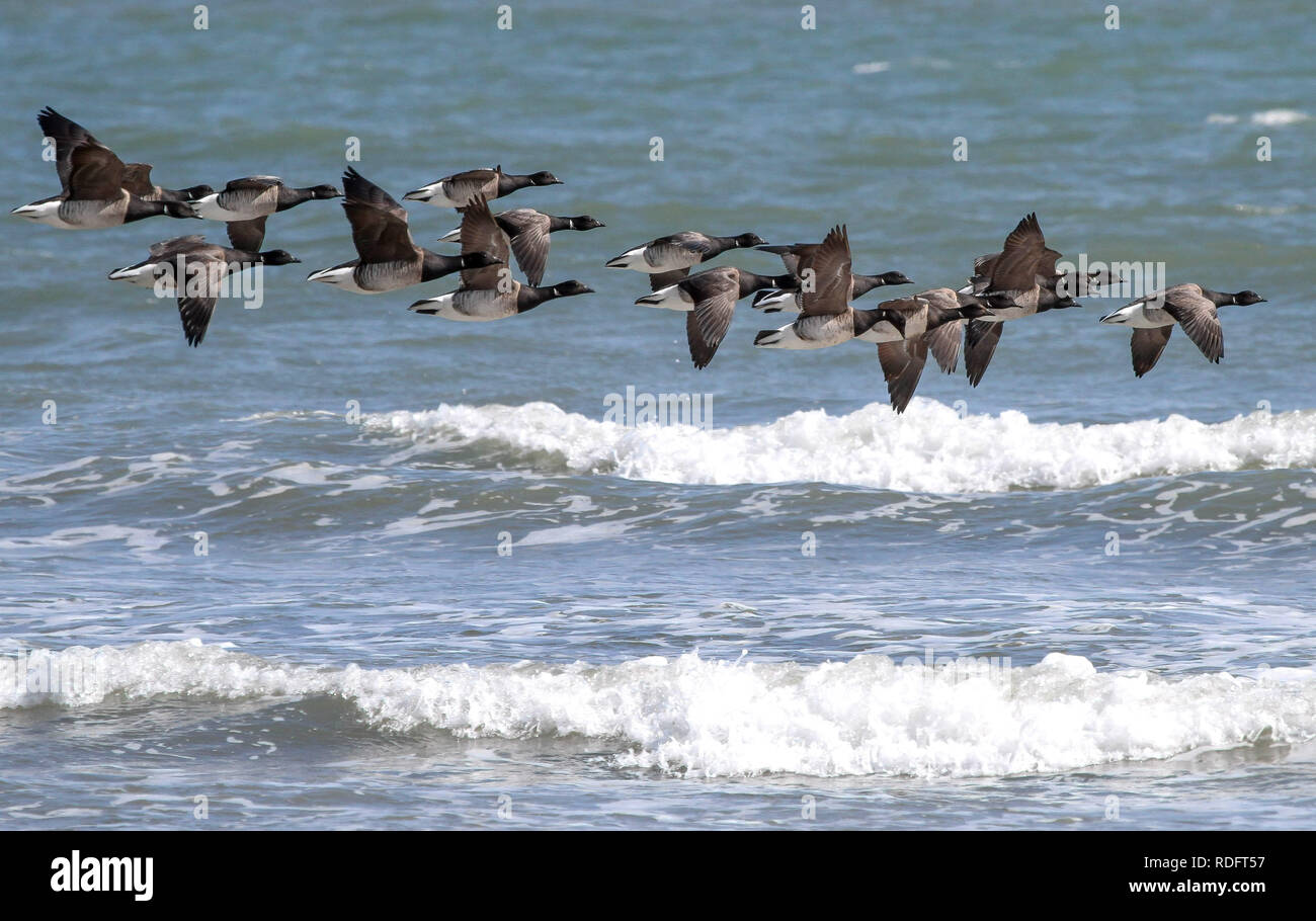 The pale ireland hires stock photography and images Alamy