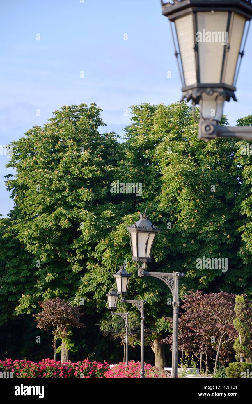 street lamps in a park Stock Photo Alamy