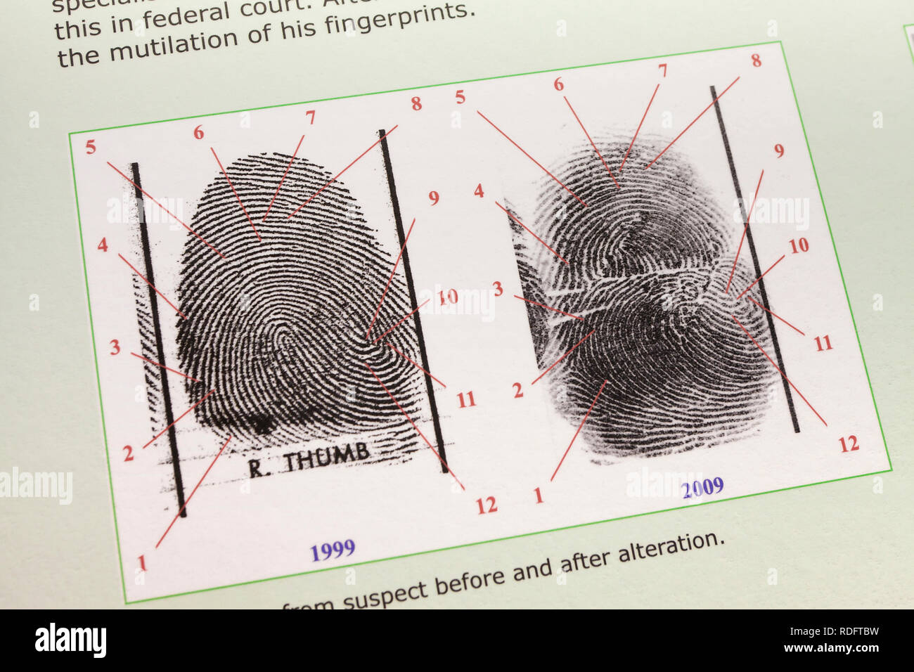 Fingerprint analysis guide (fingerprint comparison) - USA Stock Photo
