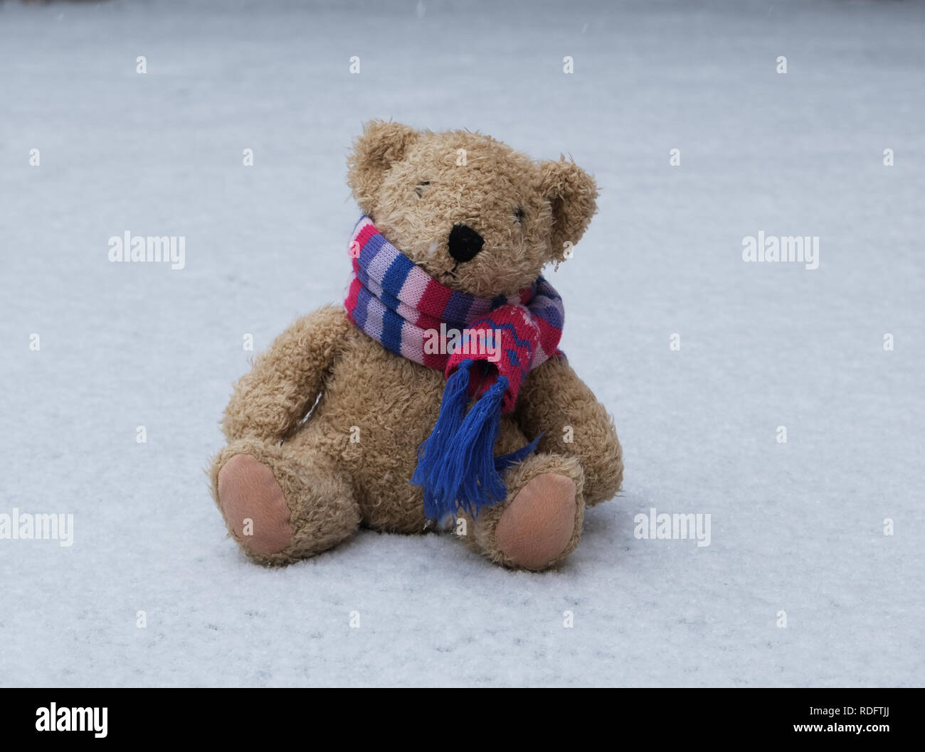 old teddy bear in a scarf sits on white snow, winter day Stock Photo ...