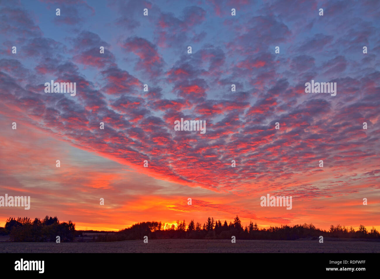 Sunrise skies in the prairies, Waskatenau, Alberta, Canada Stock Photo