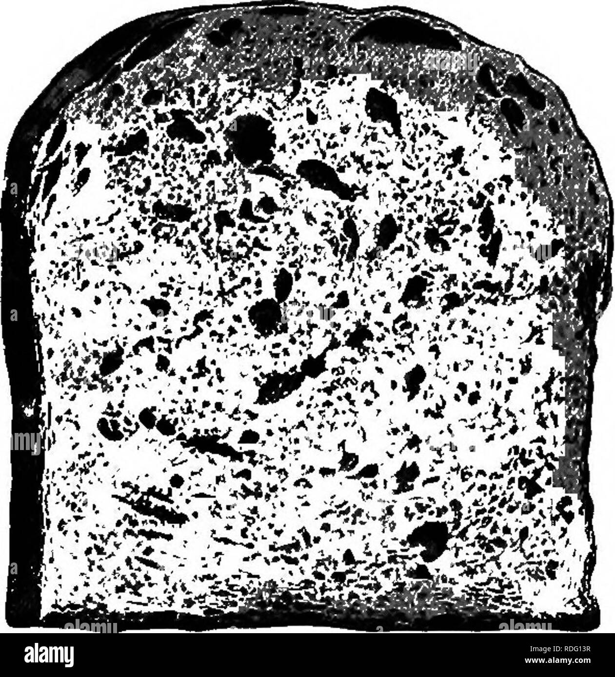 Fig bake Black and White Stock Photos & Images Alamy