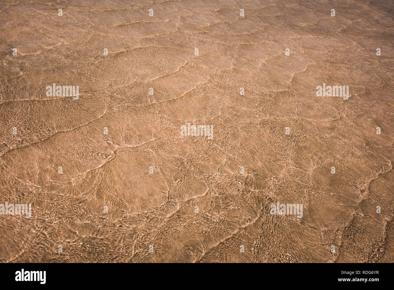 Empty background with natural textured pattern created by small sea waves in shallow waters of golden sand beach. Water surface is shining because of  Stock Photo