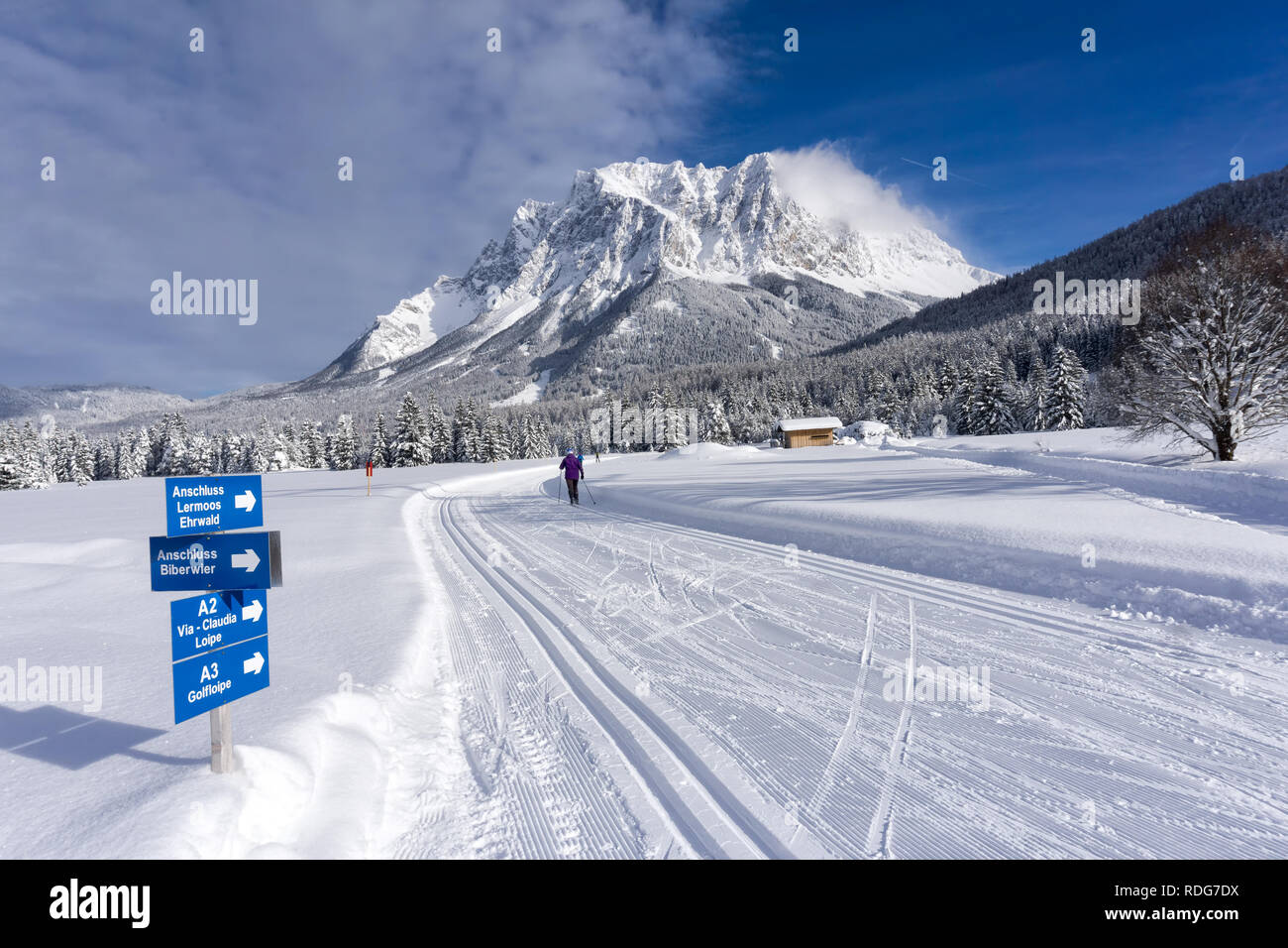 Winter mountain landscape with groomed ski trails and blue sky in sunny day. Ehrwald valley, Tirol, Alps, Austria, Zugspitze Massif  in background. Stock Photo