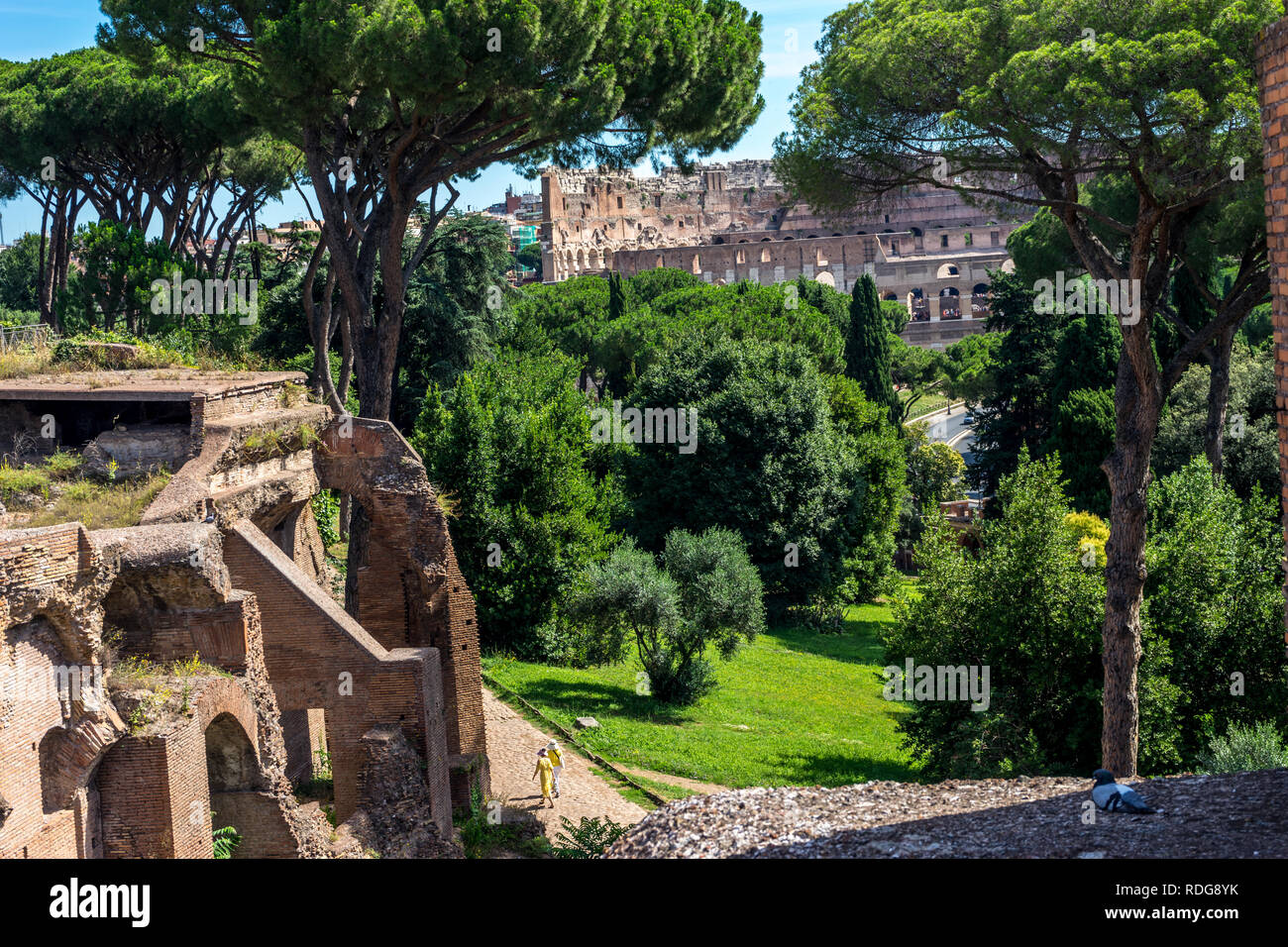 The ancient ruins at the Roman Forum, Palatine hill, colosseum in Rome ...