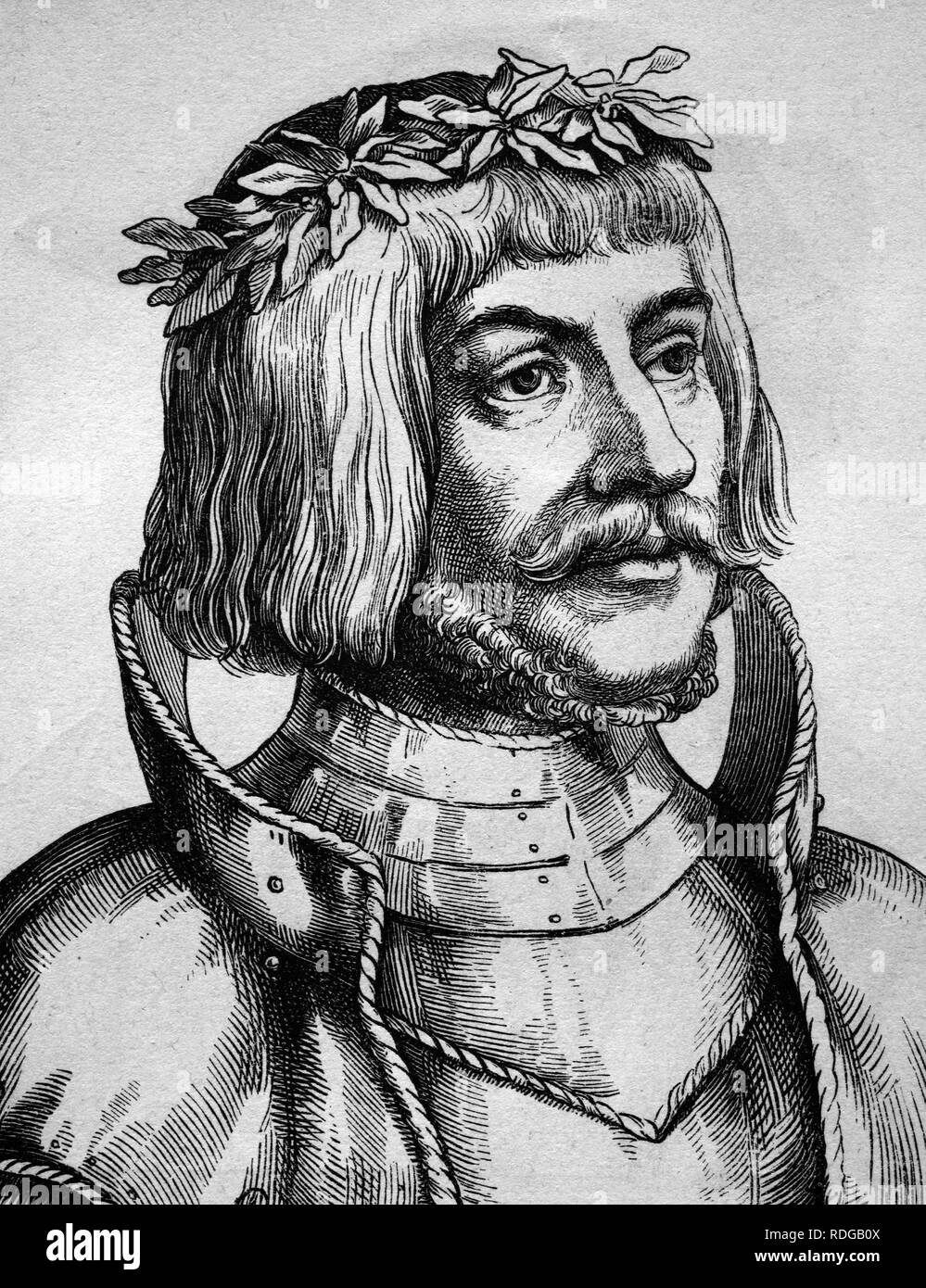 Ulrich von Hutten, humanist, first Imperial Knight, 1488 - 1523, historical illustration, portrait, 1880 Stock Photo