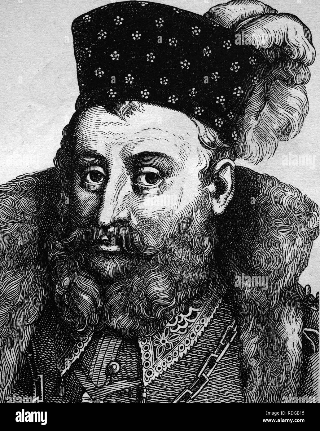 Johann Friedrich Secundus or John Frederick II, Duke of Saxony, Prince of Wettin, 1529 - 1595, historical illustration, portrait Stock Photo