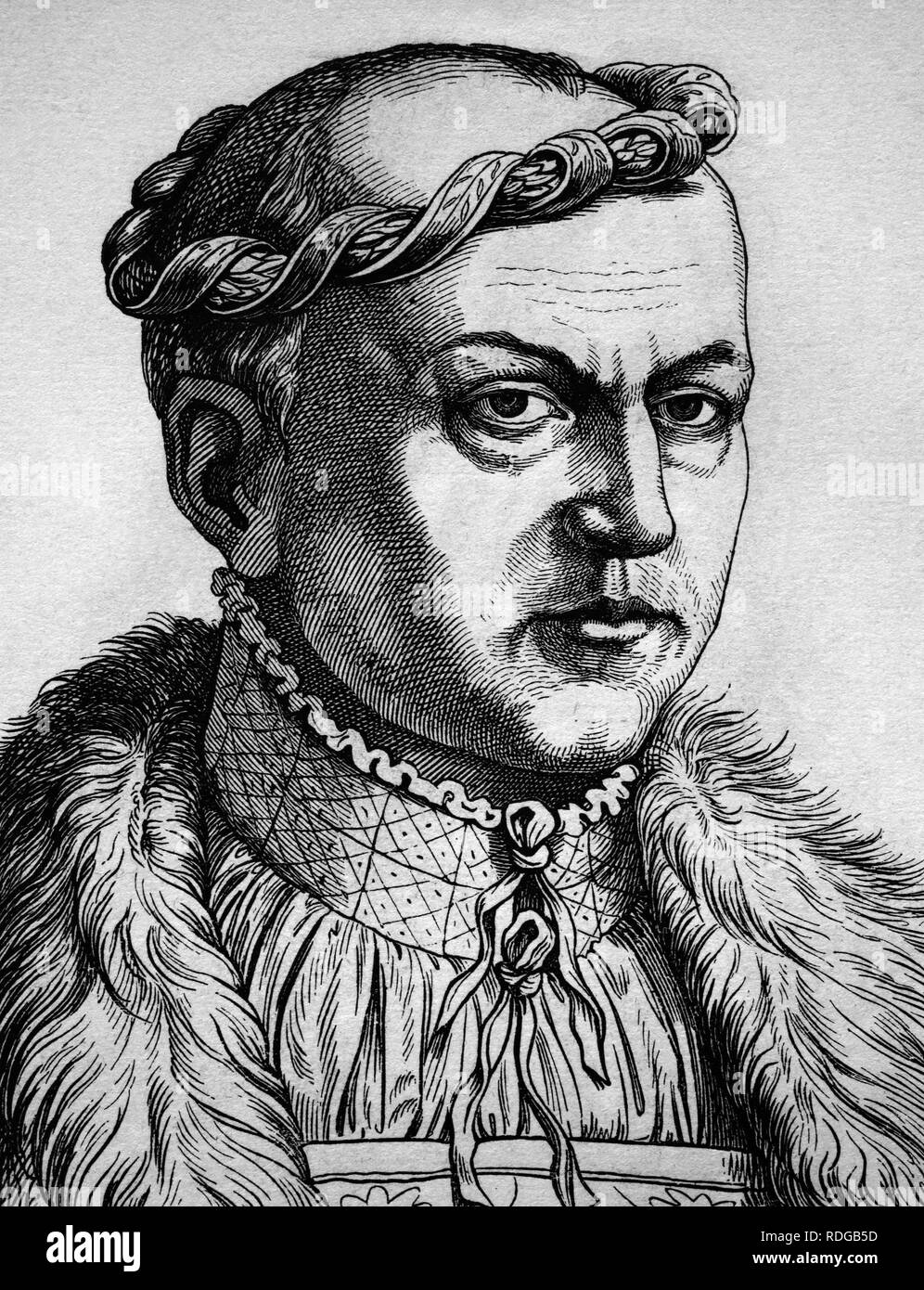 Georg, Duke of Saxony, 1471 - 1539, portrait, historical illustration, 1880  Stock Photo - Alamy