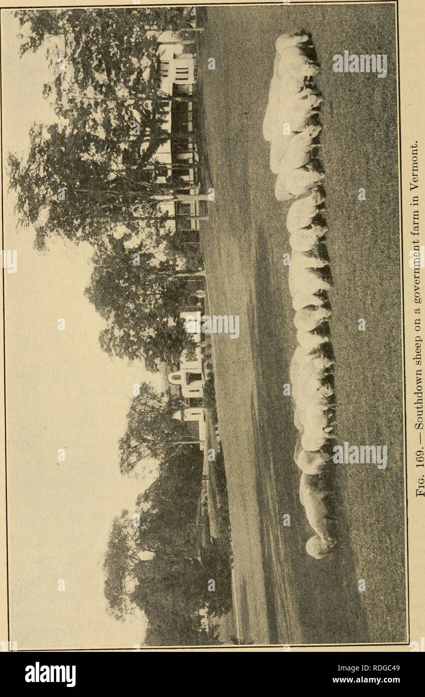 . Effective farming; a text-book for American schools. Agriculture. 394 Effective Farming. Please note that these images are extracted from scanned page images that may have been digitally enhanced for readability - coloration and appearance of these illustrations may not perfectly resemble the original work.. Sampson, Harry Oscar, 1879-. New York, Macmillan Stock Photo