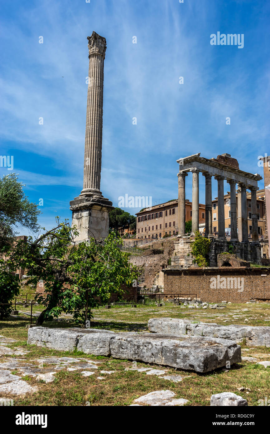 The ancient ruins at the Roman Forum, Palatine hill in Rome Stock Photo ...